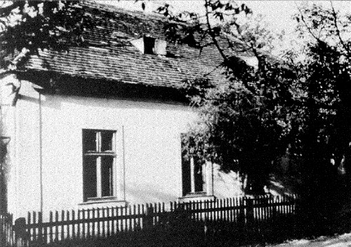 Casa familiei Steiner 