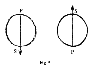 fig.5