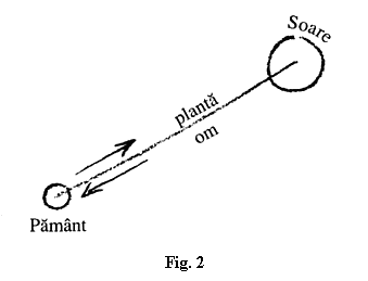 fig.2