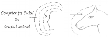 desen